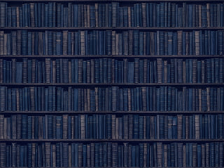 Navy Bookshelf Library Mural sample