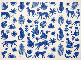 Cassius, Delft sample