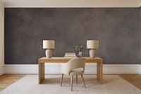 Charcoal Plaster Texture Mural in a home office