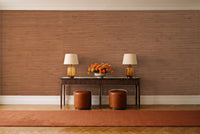 Clay Grasscloth Texture Mural in an entryway
