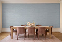 Light Blue Grasscloth Texture Mural in a dining room