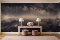 Black Galaxy Celestial Mural in an entryway
