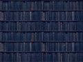 Navy Bookshelf Library Mural