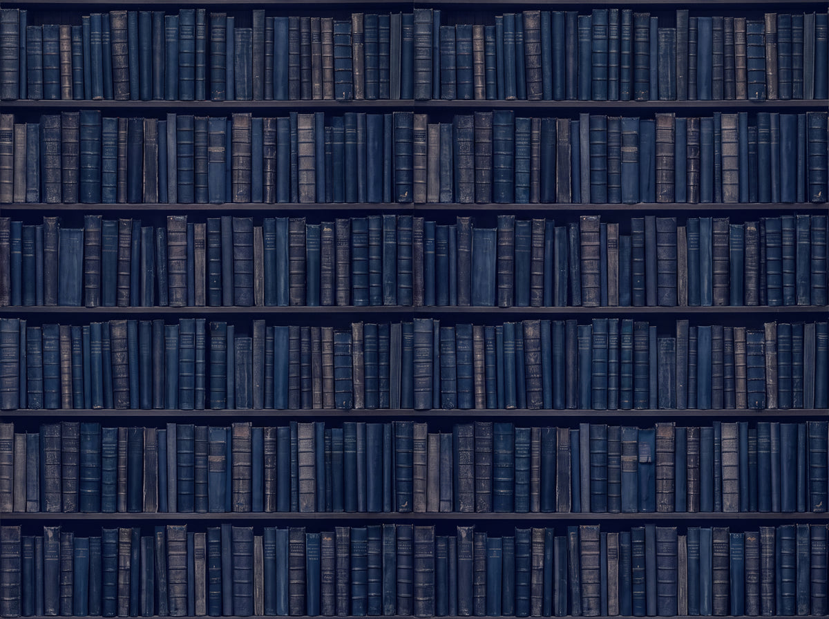 Navy Bookshelf Library Mural placed in your room