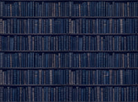 Navy Bookshelf Library Mural design