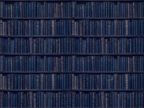 Navy Bookshelf Library Mural sample on the real paper