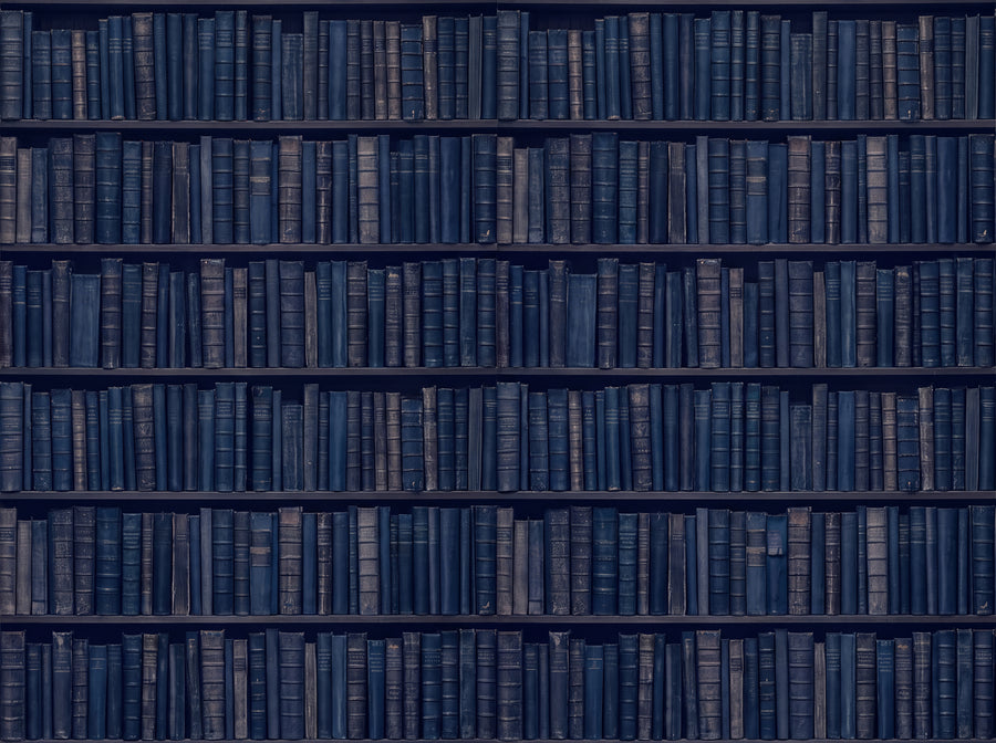 Navy Bookshelf Library Mural