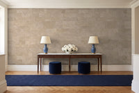 Beige Stone Mural in an entryway