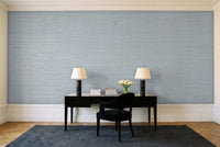 Light Blue Grasscloth Texture Mural in a home office