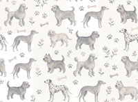 Basset, Stone design