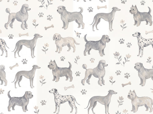 Basset, Stone sample on the real paper