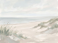 Sage Beach Landscape Mural design