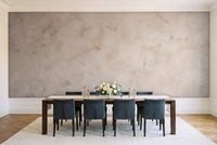 Beige Plaster Texture Mural in a dining room