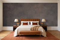 Charcoal Plaster Texture Mural in a bedroom
