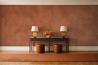 Clay Plaster Texture Mural in an entryway