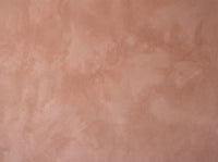 Terracotta Plaster Texture Mural design