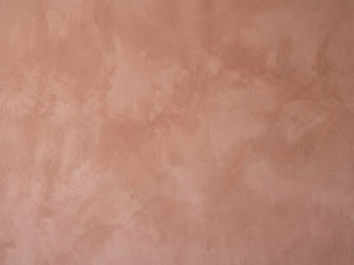 Terracotta Plaster Texture Mural sample