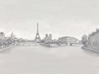 Grey Paris Cityscape Mural sample