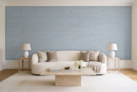 Light Blue Grasscloth Texture Mural in a living room