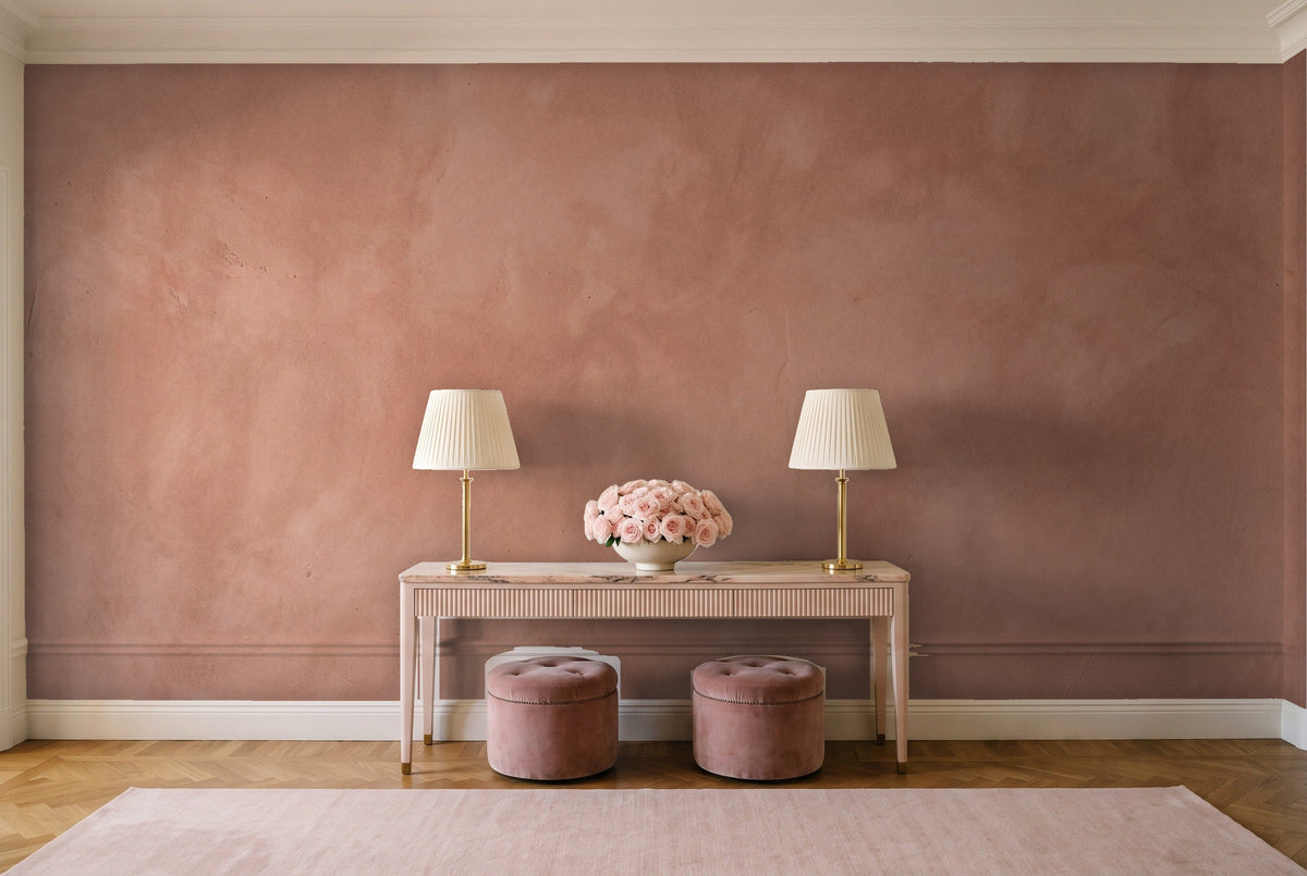 Terracotta Plaster Texture Mural in an entryway