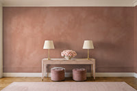 Terracotta Plaster Texture Mural in an entryway