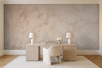 Beige Plaster Texture Mural in a home office