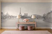 Grey Paris Cityscape Mural in an entryway