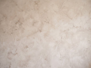 Beige Plaster Texture Mural sample