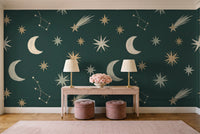 Emerald Stars Celestial Mural in an entryway