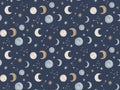 Navy Moon Celestial Mural