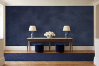 Navy Plaster Texture Mural in an entryway