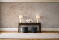 Beige Plaster Texture Mural in an entryway