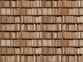 Beige Bookshelf Library Mural
