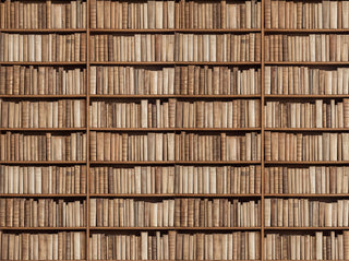 Beige Bookshelf Library Mural sample