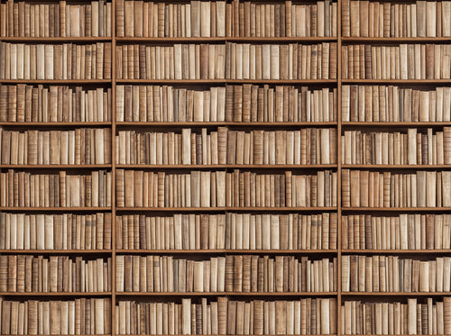 Beige Bookshelf Library Mural design