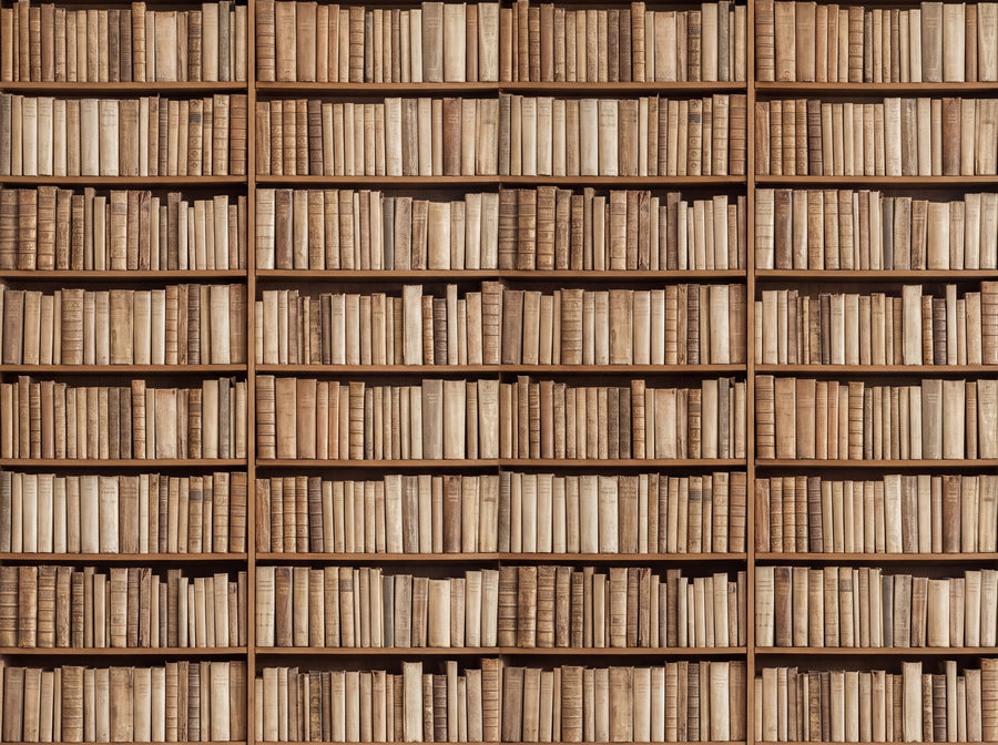 Beige Bookshelf Library Mural