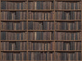 Charcoal Bookshelf Library Mural