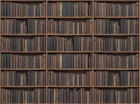 Charcoal Bookshelf Library Mural design