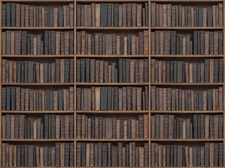 Charcoal Bookshelf Library Mural sample
