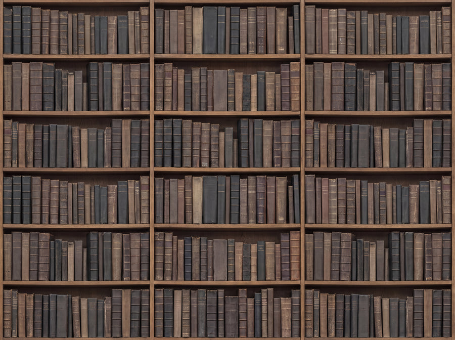 Charcoal Bookshelf Library Mural