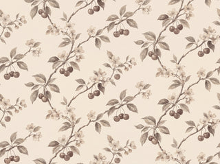 Sakura, Oat sample
