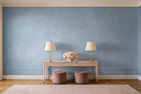 Light Blue Plaster Texture Mural in an entryway