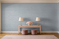 Light Blue Grasscloth Texture Mural in an entryway