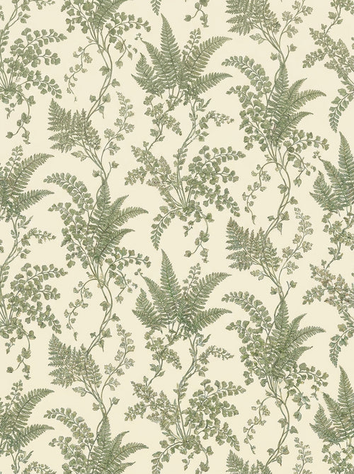 Green Fern Botanical Mural design