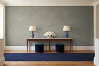 Sage Plaster Texture Mural in an entryway