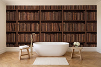 Clay Bookshelf Library Mural in a bathroom