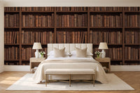 Clay Bookshelf Library Mural in a bedroom