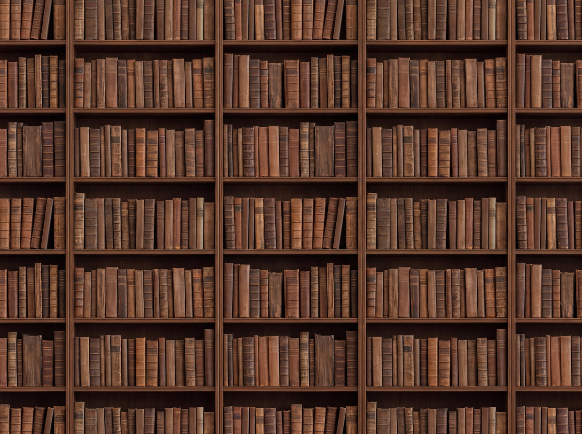 Clay Bookshelf Library Mural