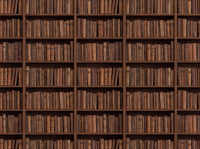 Clay Bookshelf Library Mural design