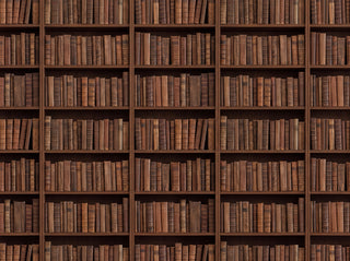 Clay Bookshelf Library Mural sample